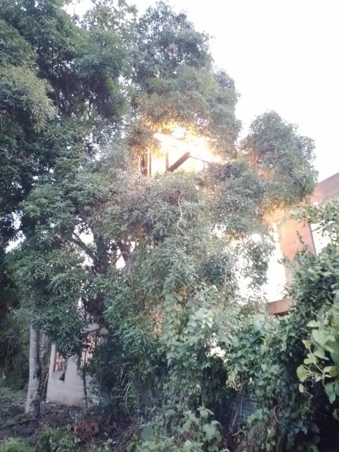 La Casita Del Arbol Guaduas Cundi. Hotel ภายนอก รูปภาพ