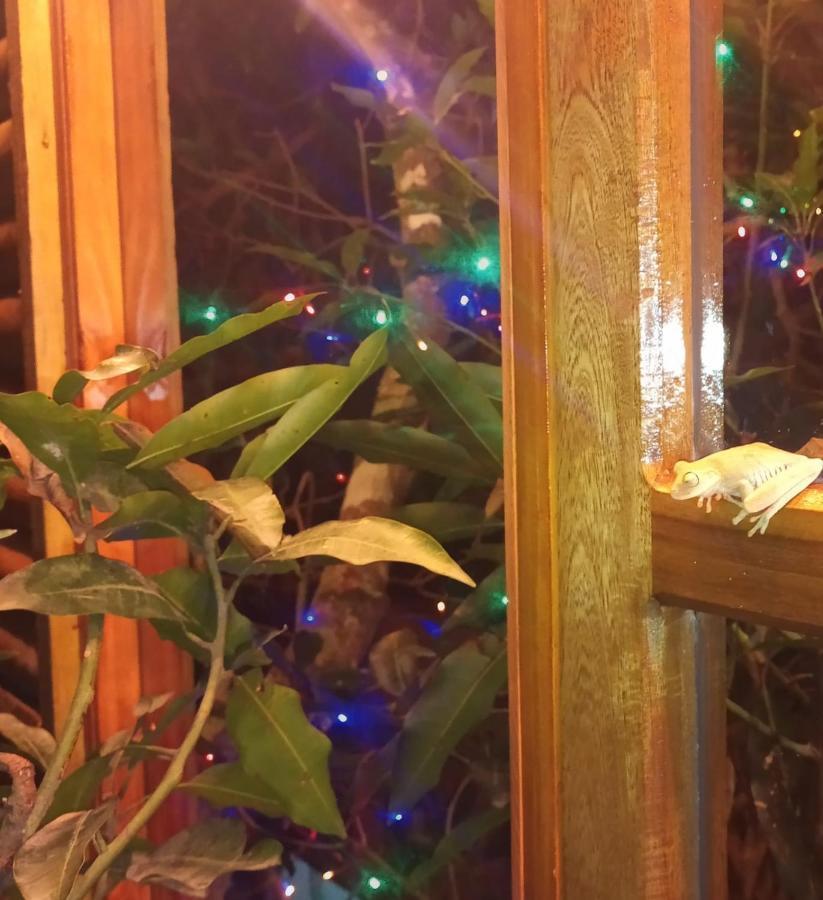 La Casita Del Arbol Guaduas Cundi. Hotel ภายนอก รูปภาพ